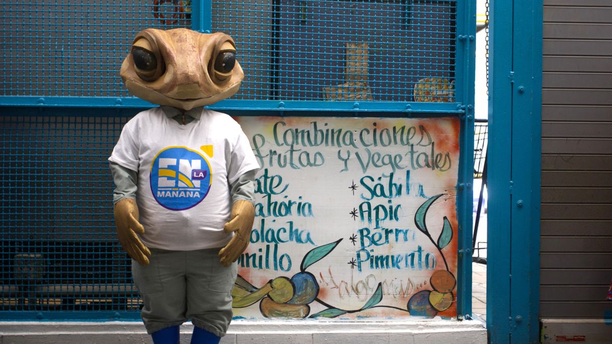 Bad Bunny revaloriza el sapo concho: así es la especie endémica de Puerto Rico que se ha hecho viral