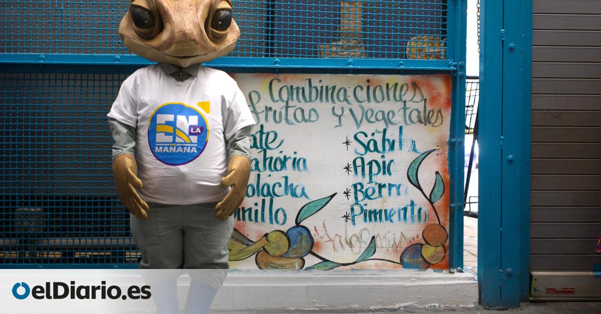 Bad Bunny revaloriza el sapo concho: así es la especie endémica de Puerto Rico que se ha hecho viral