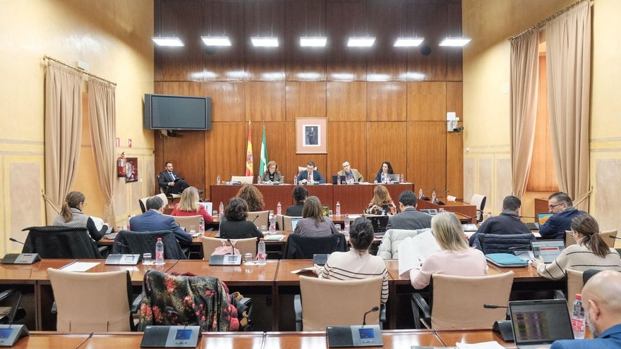 Imagen de la Comisión de Economía, Hacienda y Fondos Europeos del Parlamento andaluz durante el debate del dictamen del proyecto de Ley de Presupuestos de 2023 (Foto de archivo).