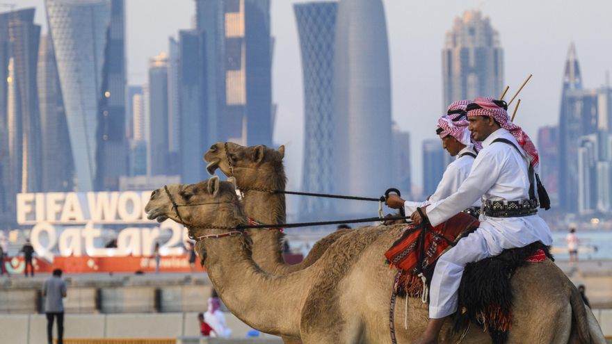 La ‘gripe del camello’ de Qatar, el último alarmismo microbiológico en la era de la COVID