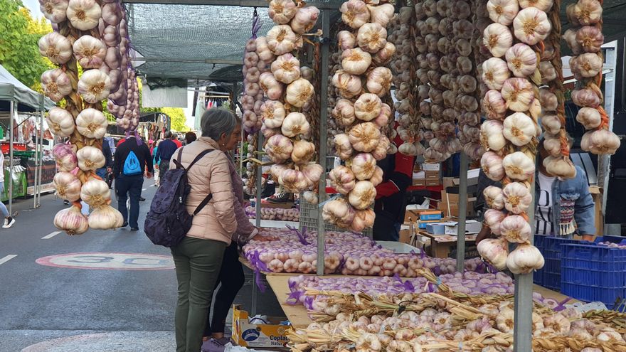 Puesto de ajos en romería de La Virgen del Camino.