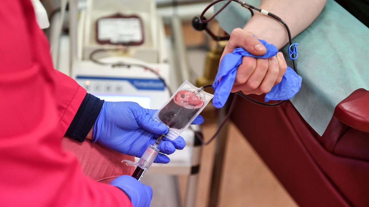 Un total de 367 donantes de sangre de los 13.042 que hubo en Extremadura entre el 23 de junio y el 30 de septiembre dieron positivo en anticuerpos de la covid-19.