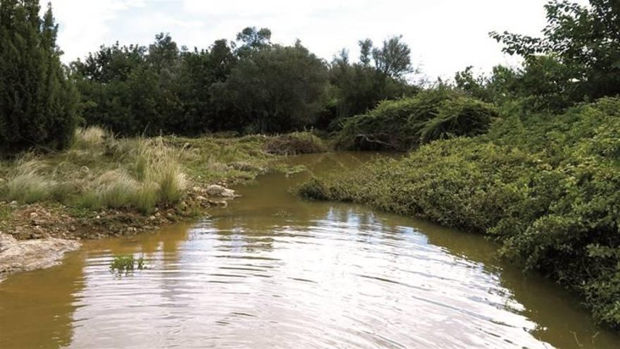 El nuevo plan del parque del Túria contempla 3.356 hectáreas de espacio protegido