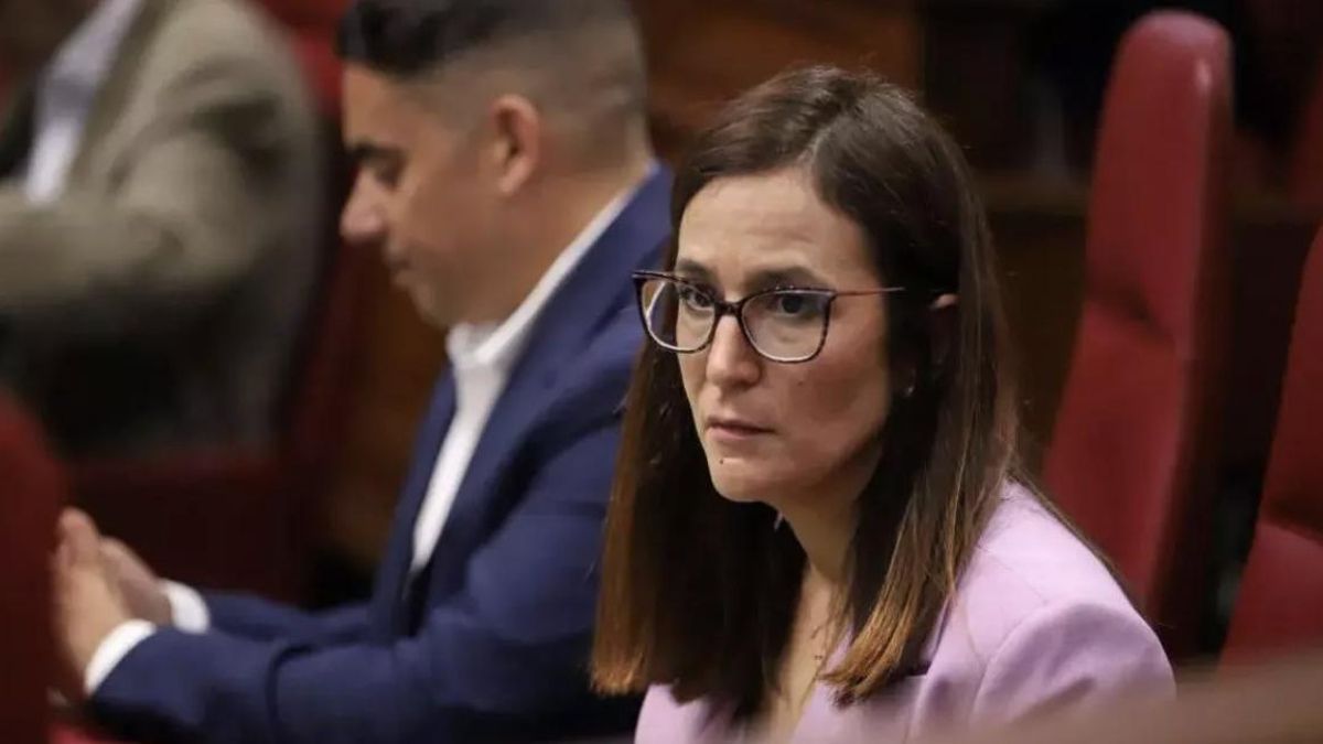 La diputada autonómica de Nueva Canarias-Bloque Canarista (NC_BC), Natalia Santana en el Parlamento regional.