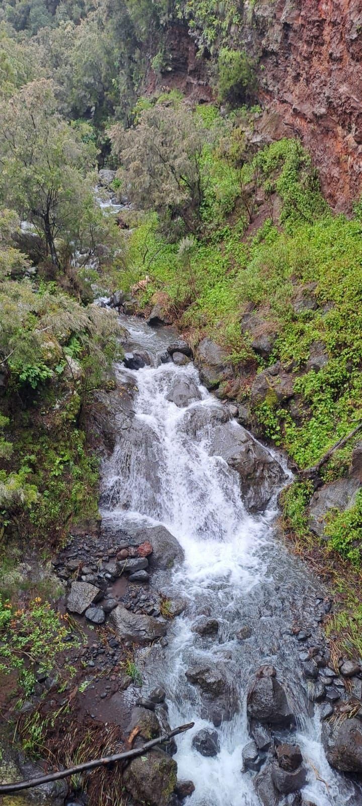 Barranco de los Hombres, Villa de Garafía.