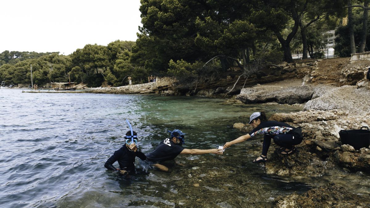 Científicos y voluntarios haciendo monitoreo de Cystoseira en el proyecto piloto de Formentor