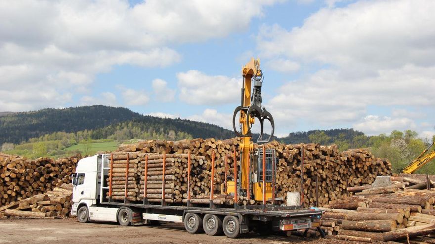 Avanza la tramitación para instalar planta de biomasa de 50 MWe en Logrosán