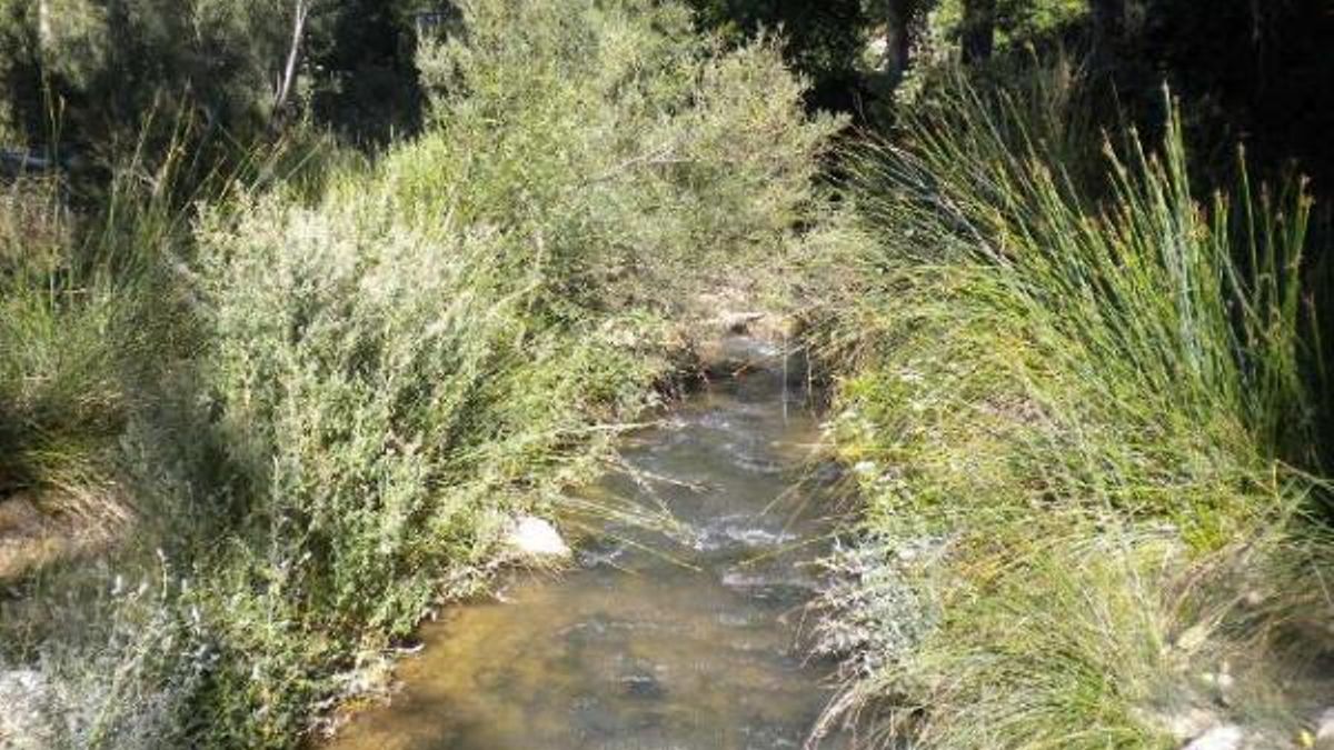 La previsión de sequía obliga a cambiar los caudales del río Taibilla, vital para el agua potable de parte del sureste español