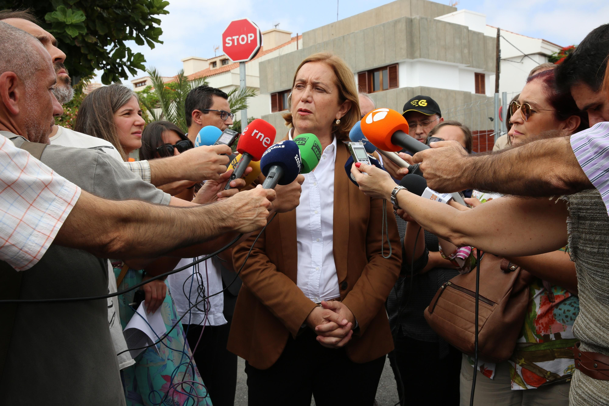 La delegada del Gobierno en Canarias, Mercedes Roldós