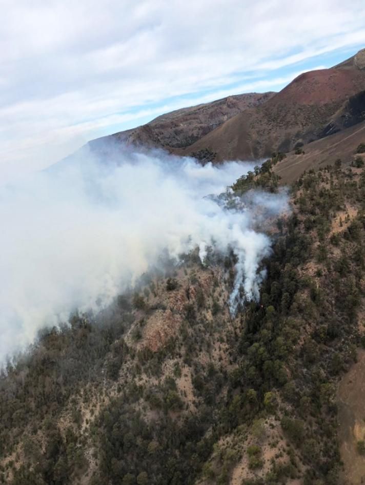 Foto tomada desde el helicóptero del GES en el pinar del municipio de Granadilla, con la humareda que ocasiona el fuego