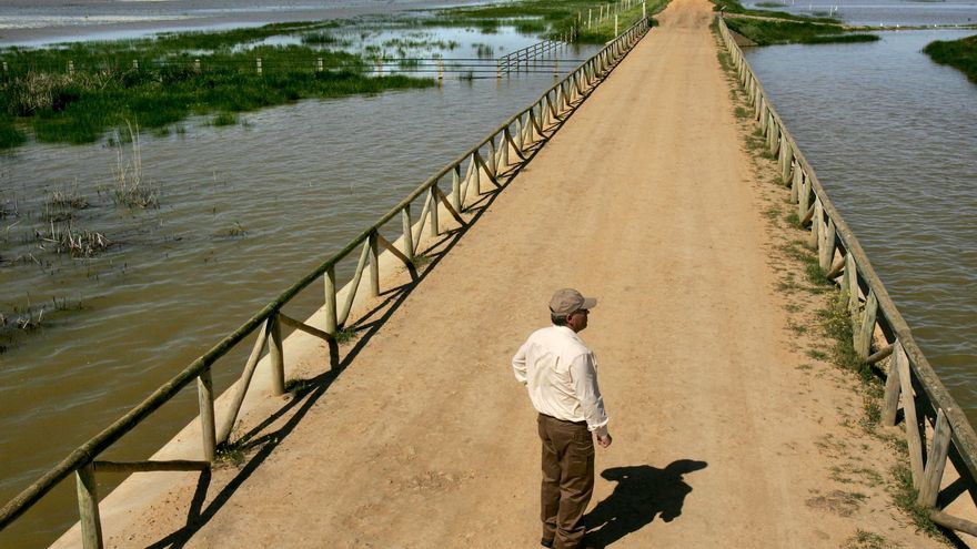 La Unesco hace 15 recomendaciones a España por el estado de Doñana, según WWF