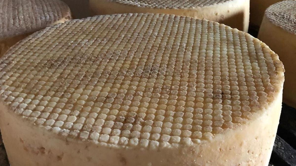 Quesos de cabra palmera ‘Luna de Awara'.