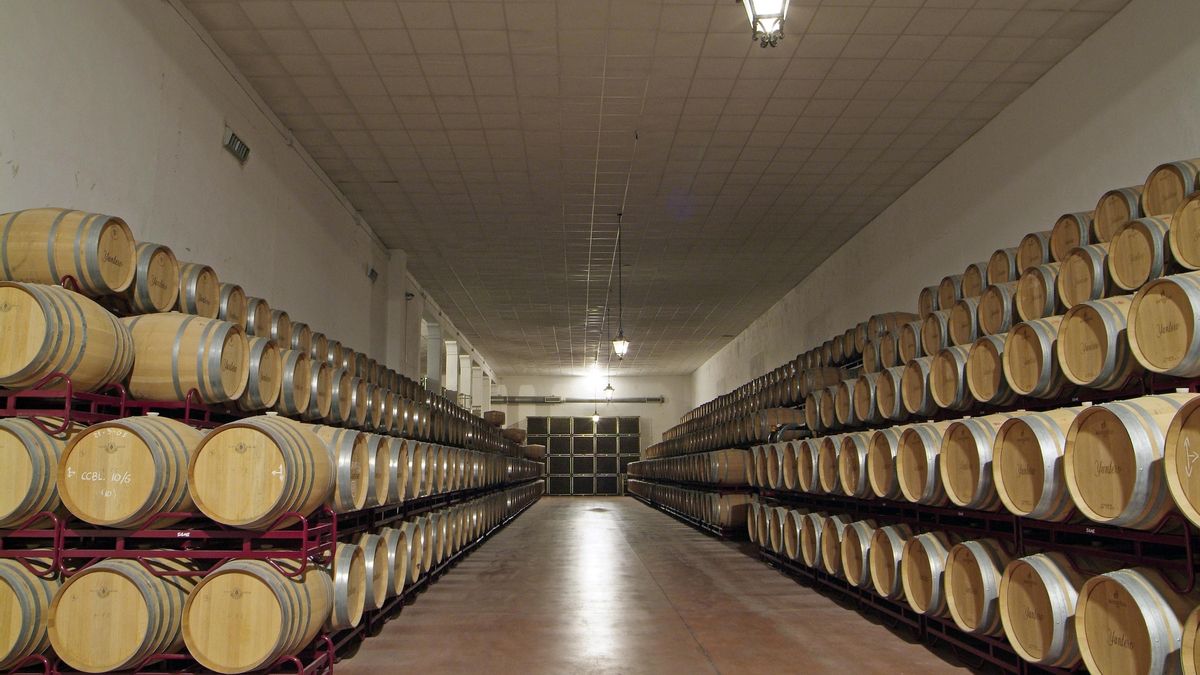 Yuntero. IMAGEN: BODEGAS YUNTERO