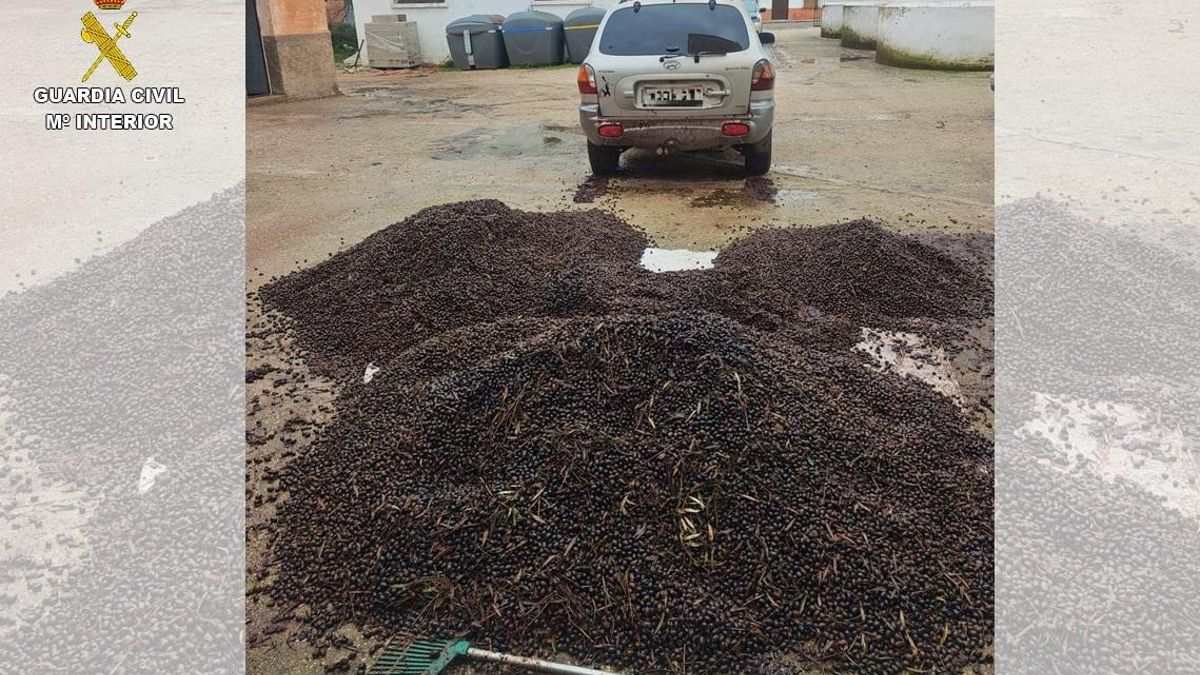 Imagen de lo sustraído