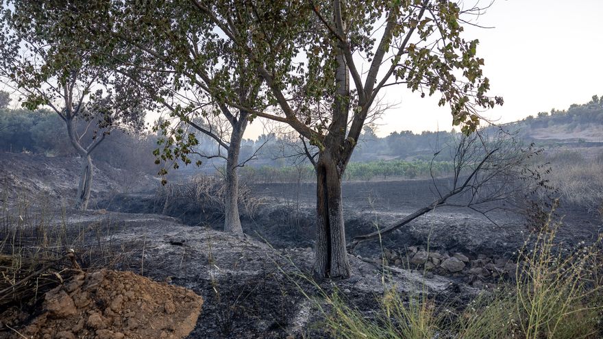 Extinguido el incendio de La Torre de Esteban Hambrán que provocó la evacuación de parte de su población