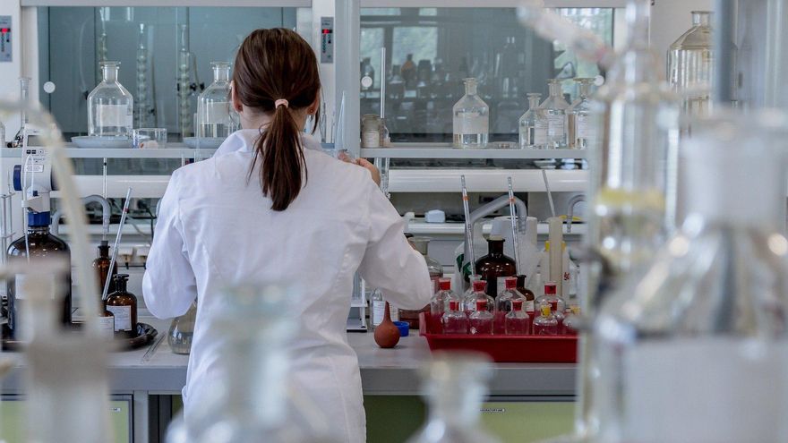 El Parlamento Vasco pide a Educación que fomente entre las alumnas las vocaciones en ciencias y tecnología