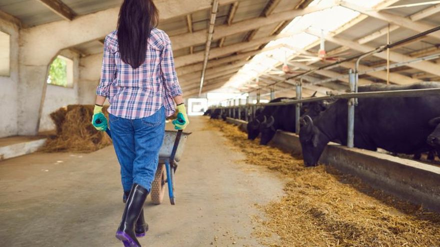 Publicadas las ayudas para incorporación de jóvenes agricultores en Castilla-La Mancha