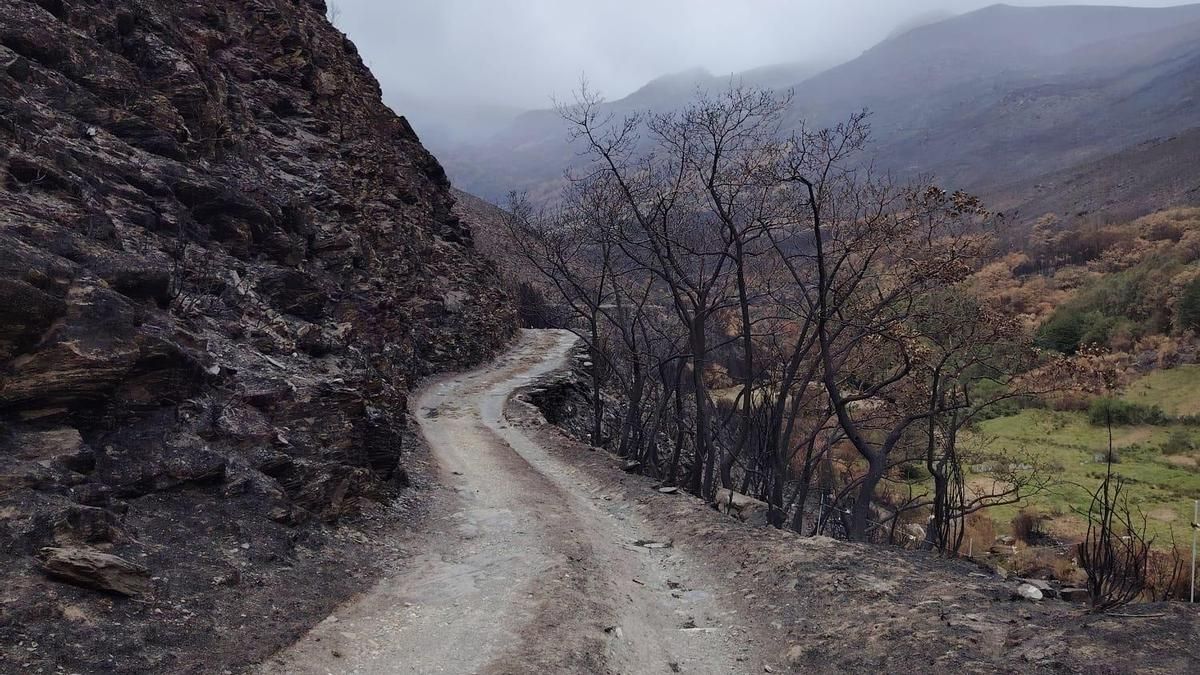 El Lago de la Baña después de los incendios de este pasado verano 2025.
