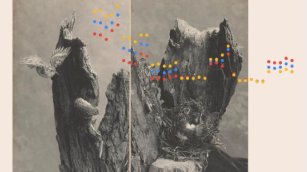 Una de las obras de la nueva exposición de Nieves Galiot.