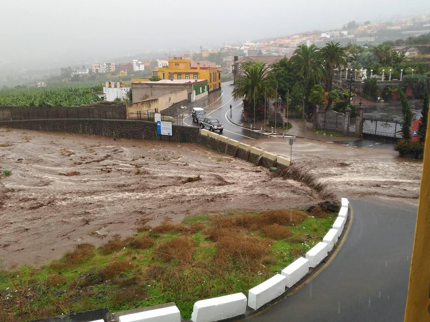 Barranco de La Luz (Los Realejos, Tenerife)