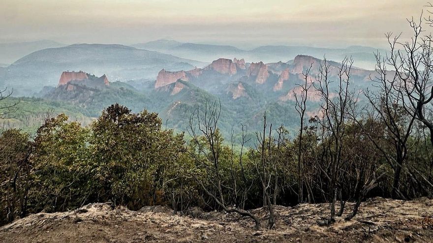 Crecen las voces que exigen la dimisión del consejero de Medio Ambiente de Castilla y León, Juan Carlos Suárez Quiñones