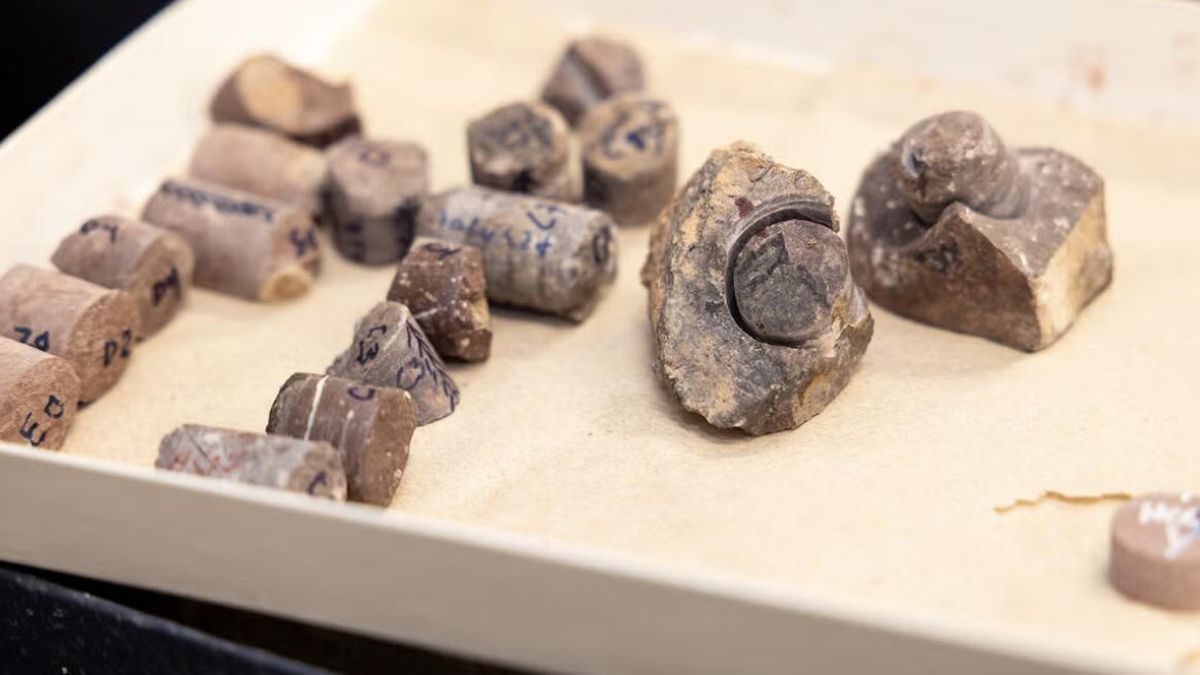 Las muestras volcánicas del Anti-Atlas permitieron reconstruir con detalle cómo variaban los polos del planeta