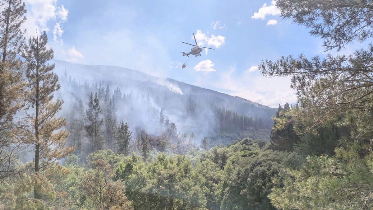 La provincia de León mantiene activos cuatro incendios: Congosto y Pradela (nivel 1), Burbia y Ribota de Sajambre