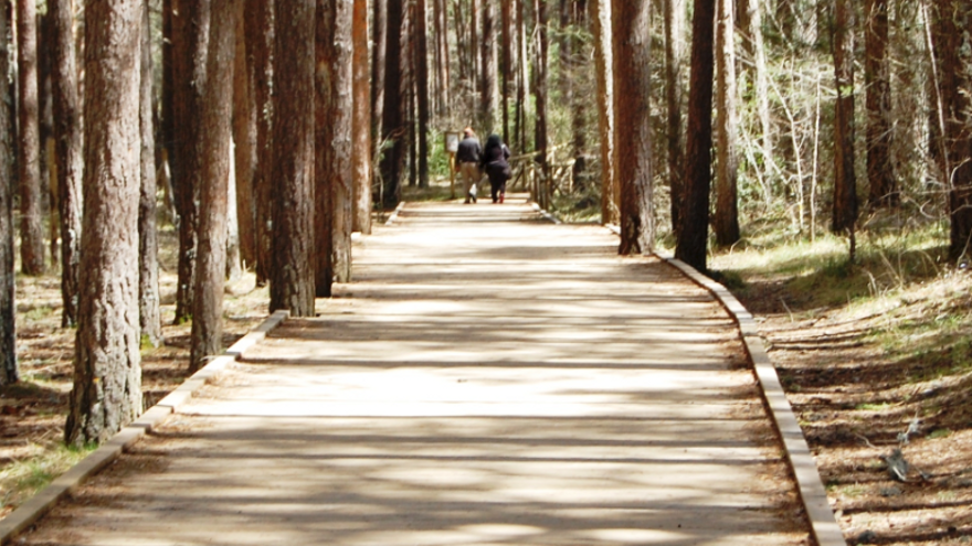 Sendero Nacimiento Río Cuervo
