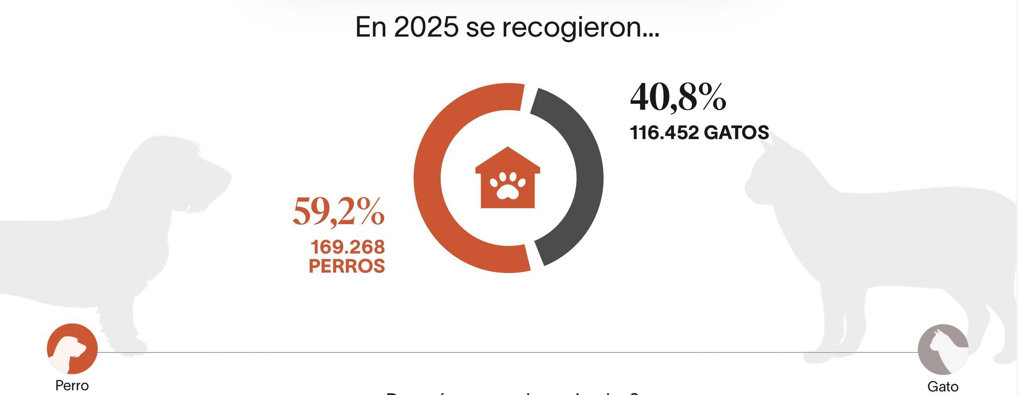 El número de perros recogidos por las protectoras suele ser mayor que el de gatos