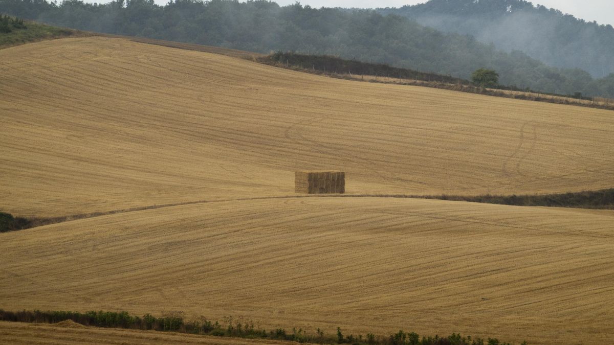 Una bala de paja en un campo de cereal recién cosechado en una imagen de archivo. EFE/David Aguilar