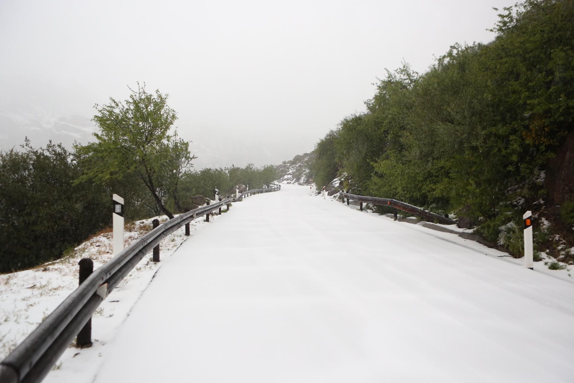 Carretera de Ayacata al Roque Nublo (ALEJANDRO RAMOS)