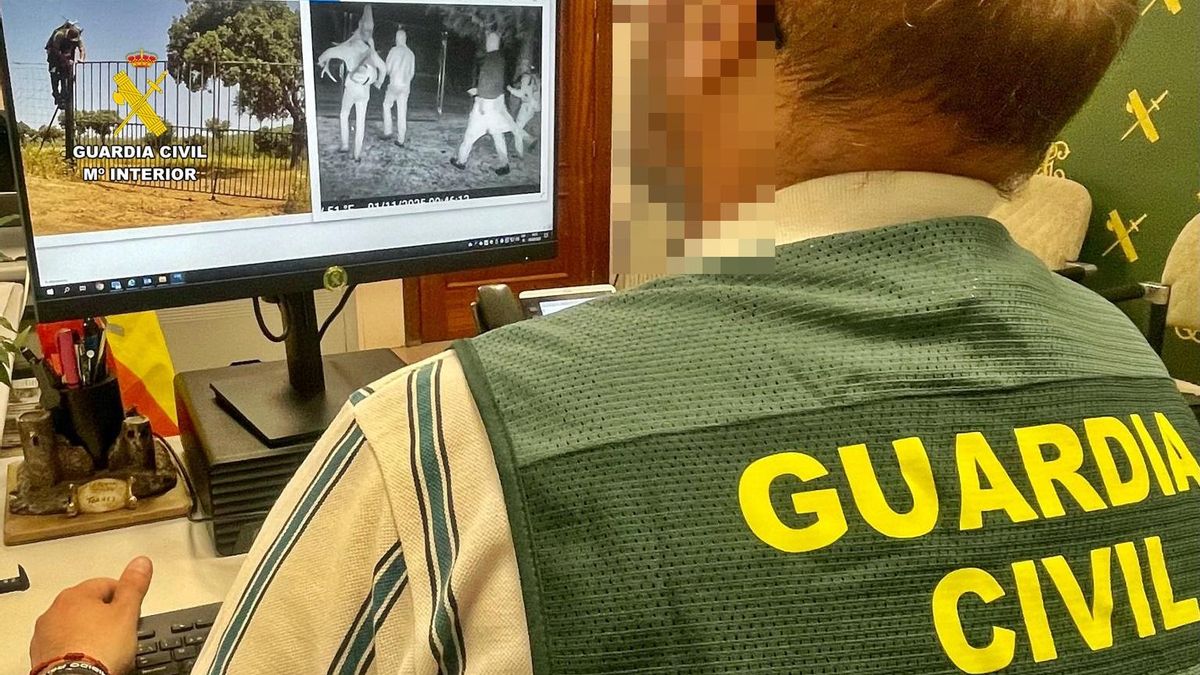 Cuatro investigados por caza furtiva en una finca de Hornachos en la podrían haber matado tres ciervos