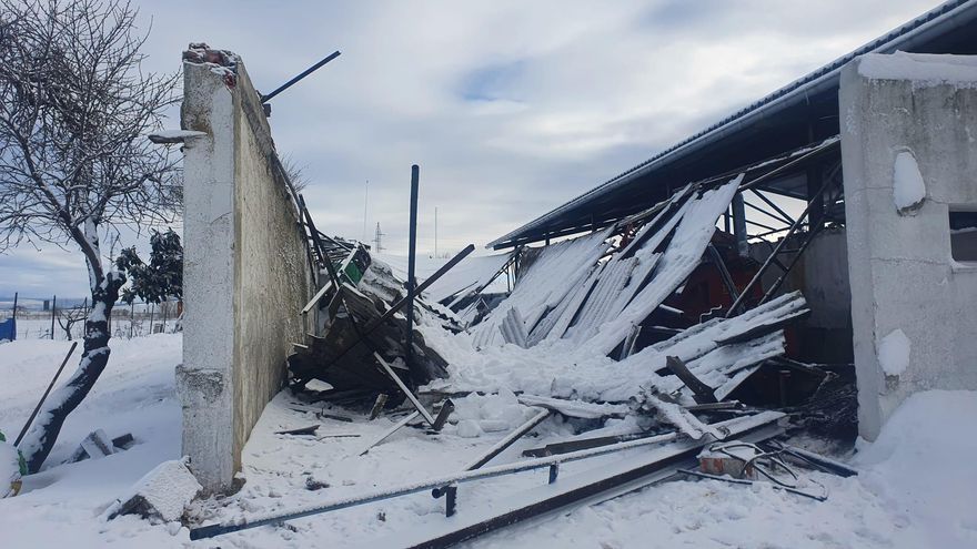 Las organizaciones agrarias apuntan daños en colmenas, olivar y frutos secos por la rotura de árboles y los viticultores temen por las yemas de las viñas