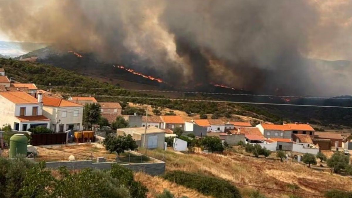 El incendio forestal en Calzada de Calatrava baja a nivel 1 y los vecinos desalojados regresan a sus casas
