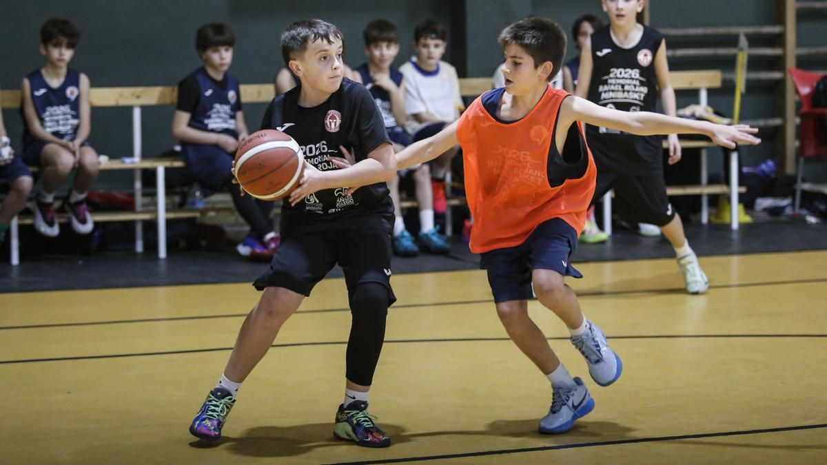 Memorial Rafael Rojano de Minibasket