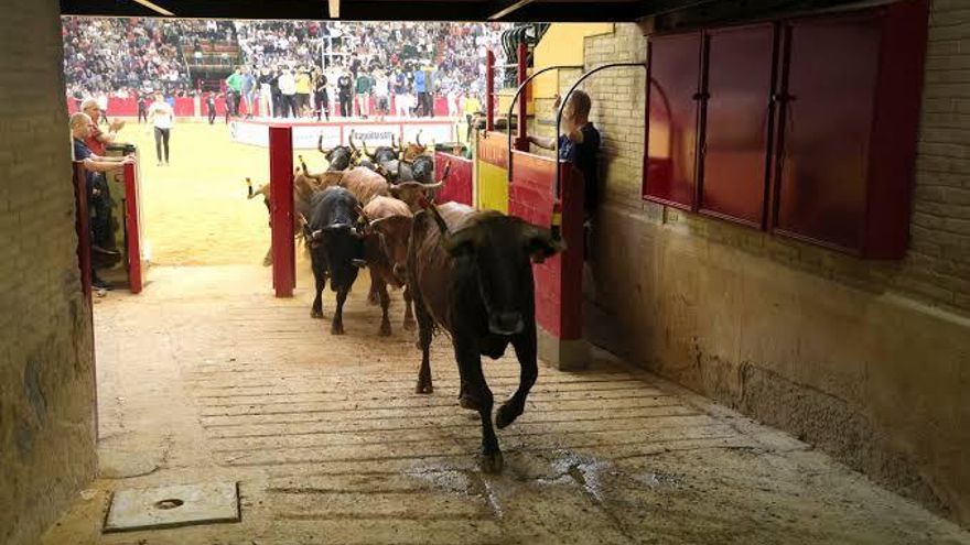 Aragón TV no emitirá las vaquillas del Pilar por la falta de acuerdo con la nueva gestora de la plaza de toros de Zaragoza
