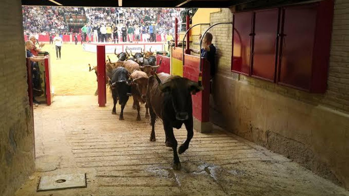 Aragón TV no emitirá las vaquillas del Pilar por la falta de acuerdo con la nueva gestora de la plaza de toros de Zaragoza