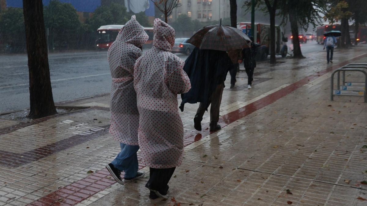Nuevas dosis 'antisequía' para el campo andaluz con la previsión de más lluvias los próximos días