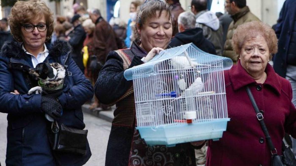 Vecinas con sus mascotas en la procesión de San Antón