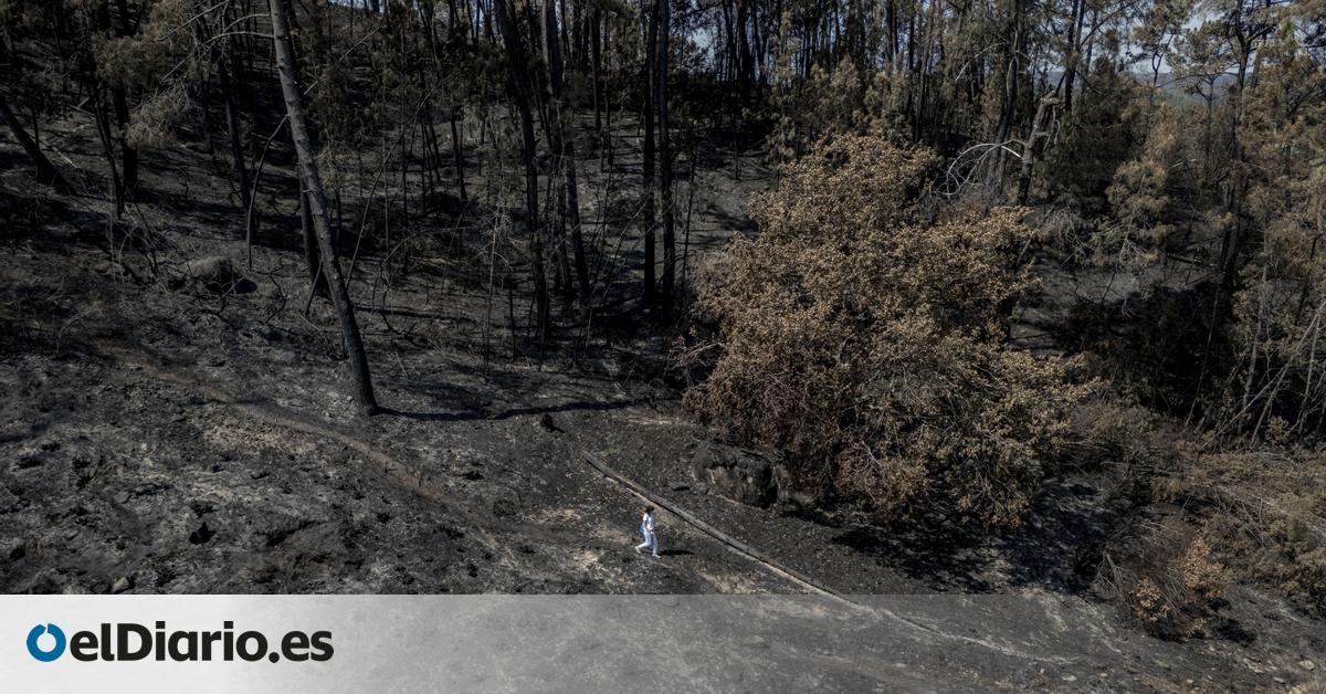 La Comisión Europea afea la insuficiente protección de la Xunta en áreas de Red Natura calcinadas este verano