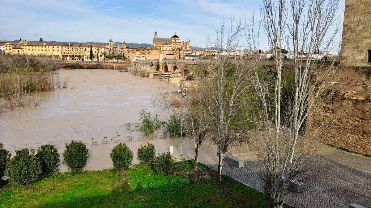 Crecida del Guadalquivir en Córdoba, que ya inunda las zonas bajas de la ciudad