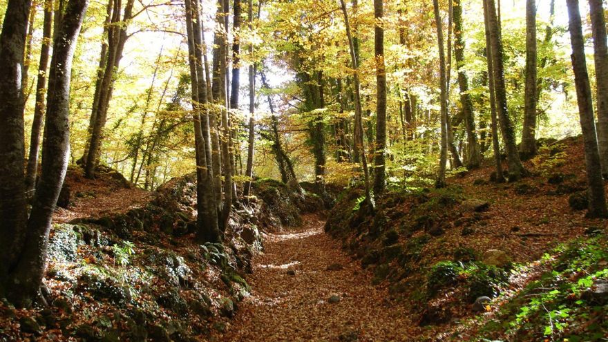 ¿Qué es la cocina volcánica y por qué se está poniendo tan de moda en esta parte de Cataluña?