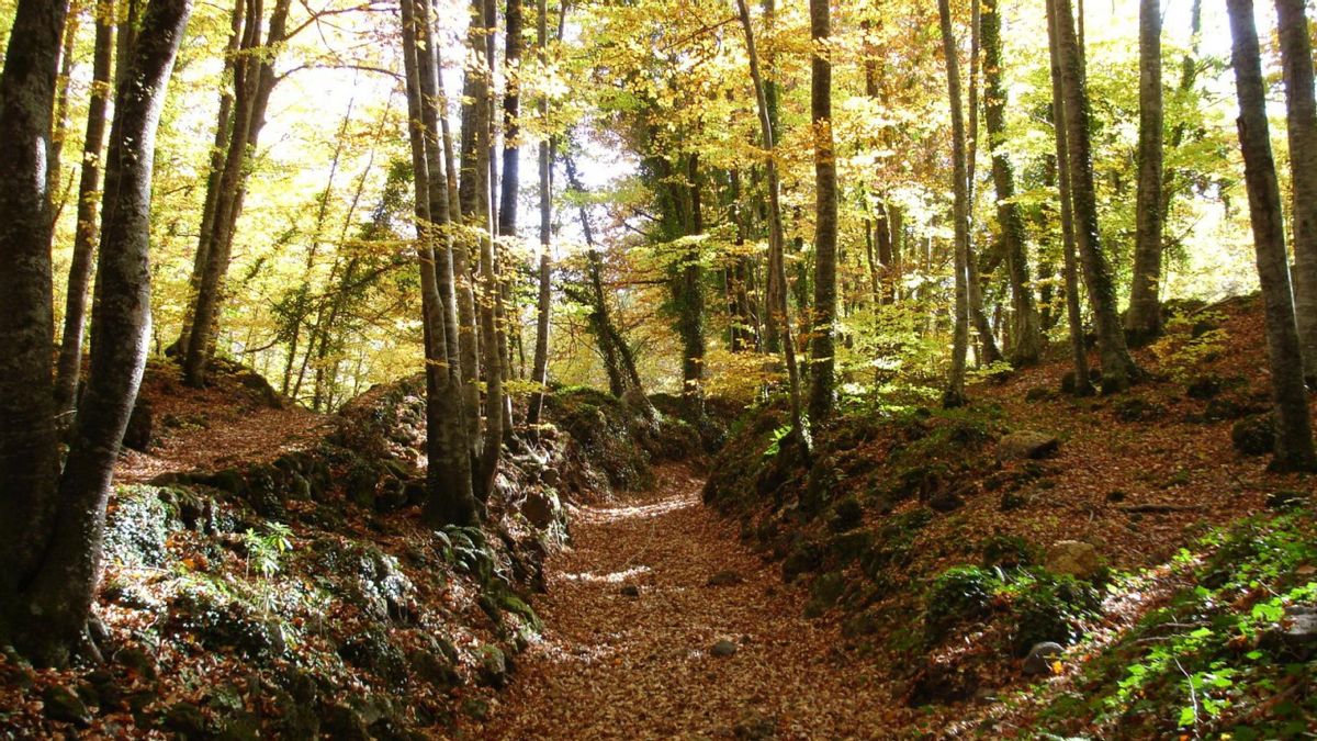 Ruta por los volcanes de La Garrotxa.