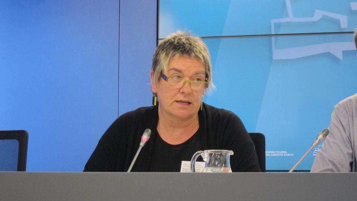 EH Bildu reprocha a 'Ayudas más justas' que hable de combatir el "fraude" y solo proponga "recortes" de derechos