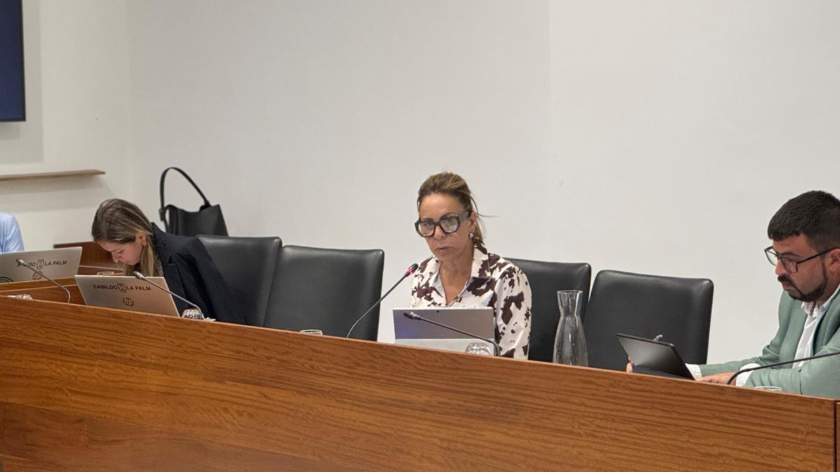El Cabildo La Palma aprueba una moción para proteger  a los pensionistas canarios