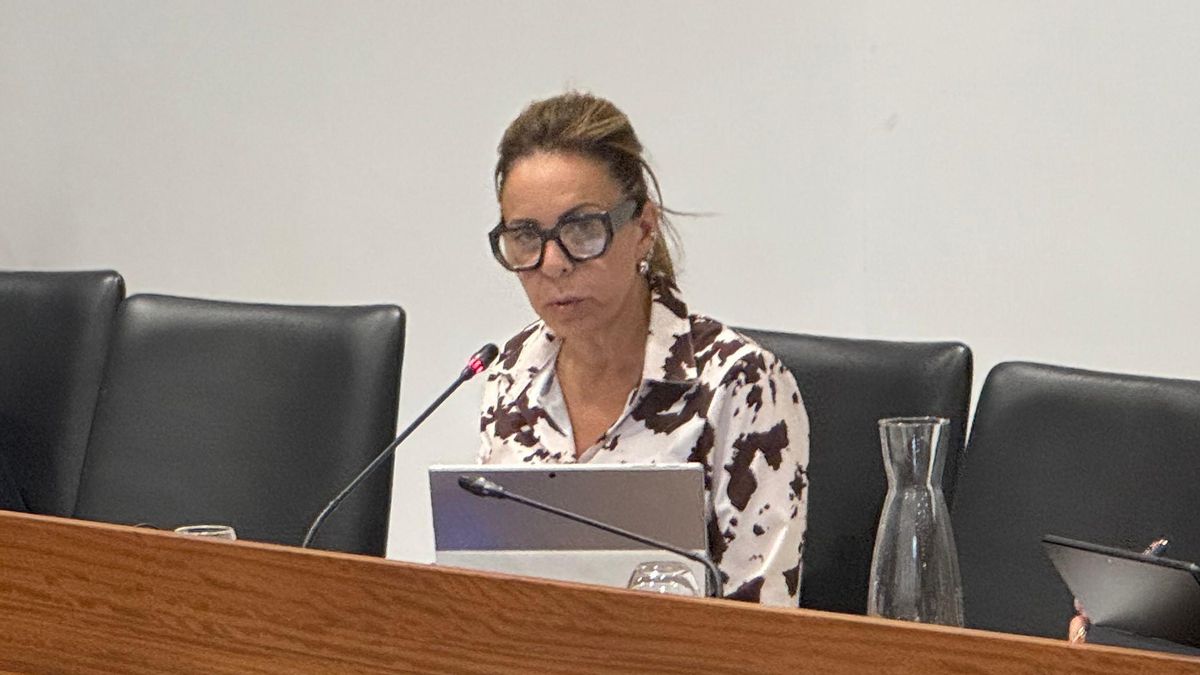 El Cabildo La Palma aprueba una moción para proteger  a los pensionistas canarios