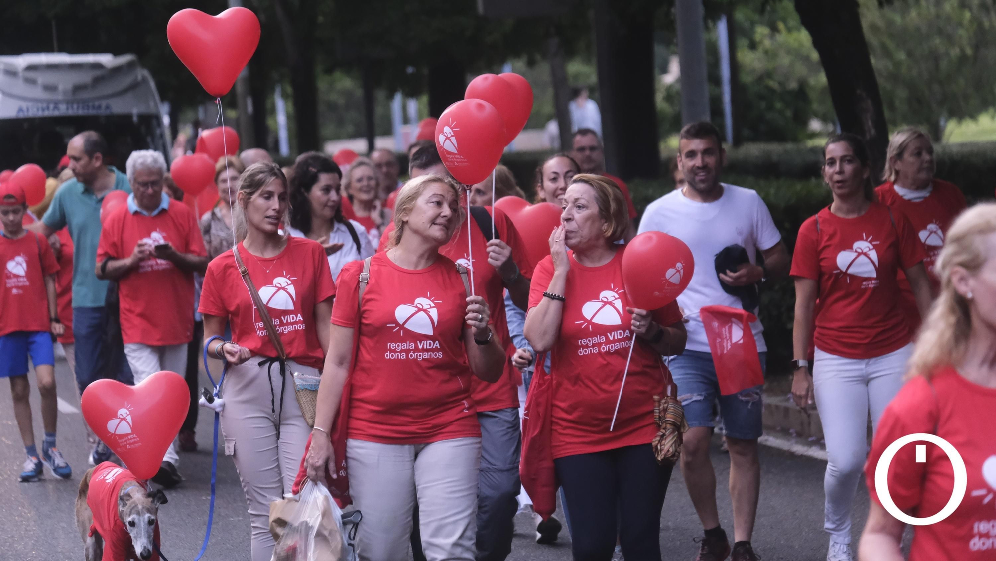 Marcha por la Donación de órganos.