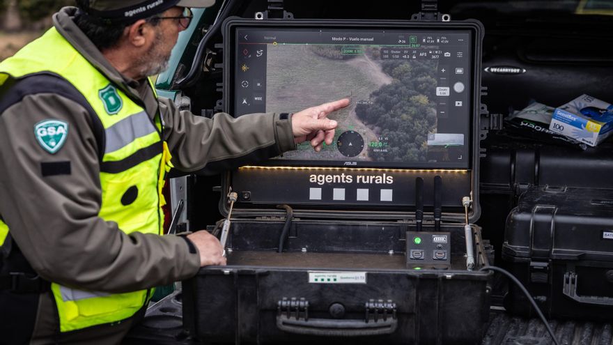 Bruxelas limita a proibição das exportações de carne suína dentro da UE a 91 municípios de Barcelona.