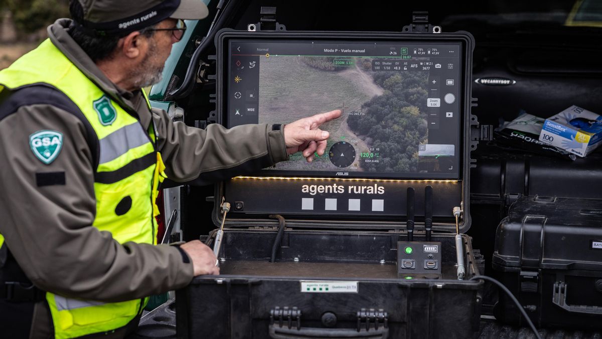 Bruselas limita a 91 municipios de Barcelona la prohibición de exportar cerdo dentro de la UE
