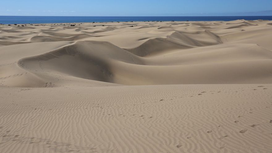 La nueva ley europea obliga a España a recuperar de la degradación el 75% de sus hábitats más valiosos